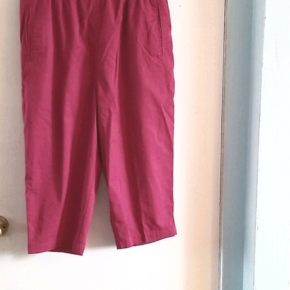 Jenny Buchanan capris - Picture 1 of 3